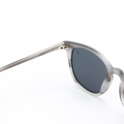 Eagle Eye Sunglasses - Chris Haris